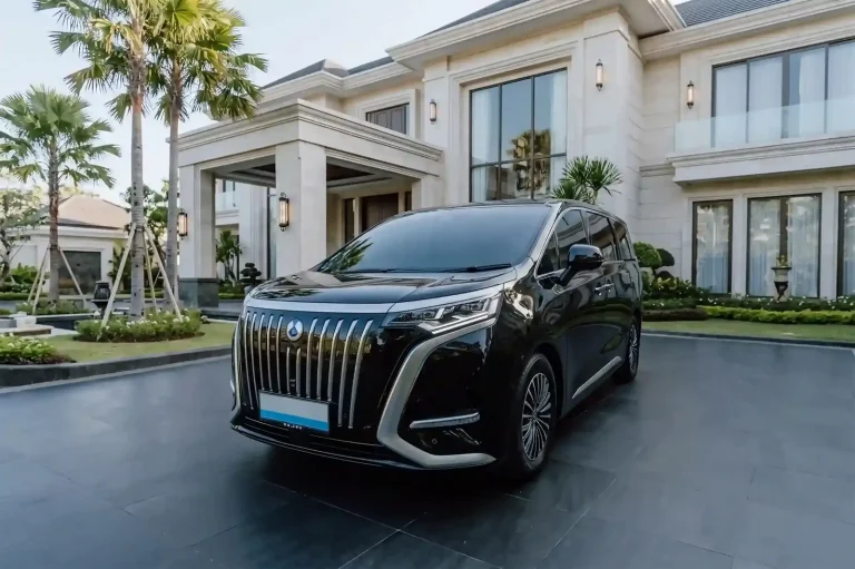 峇里島租車連司機 Denza D9 豪華電動 MPV